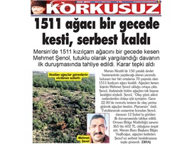 BASINDA BAROMUZ (Ağaç Kesen Sanığın Tahliyesine Başkanımızdan Tepki)