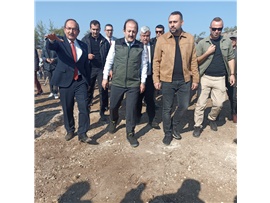 MİLLİ AĞAÇLANDIRMA GÜNÜ