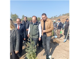 MİLLİ AĞAÇLANDIRMA GÜNÜ