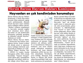 Havyan Hakları Komisyonumuz: "Hayvanları en çok kendimizden korumalıyız"