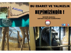 “HAYVANLARIN ESARETİNİN VE YALNIZLIĞININ SONA ERMESİ İÇİN ÇALIŞIYORUZ”