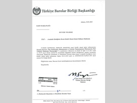 AVUKATLIK KİMLİĞİNİN RESMİ KİMLİK OLARAK KABUL EDİLMESİ HAKKINDA