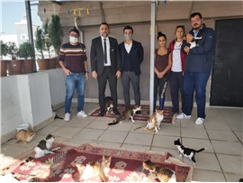 HAYVAN BAKIMIN ÜSTLENEN GÖNÜLLÜLERE DESTEK