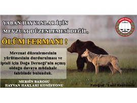HAYVAN HAKLARI KOMİSYONUMUZ DAVAYA MÜDAHALE TALEBİNDE BULUNDU