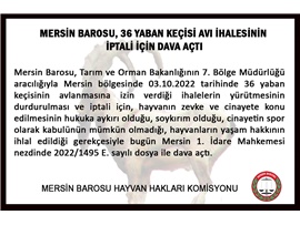 YABAN KEÇİSİ AVI İHALESİNİN İPTALİ İÇİN DAVA AÇILDI