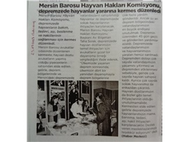 Depremzede hayvanlar yararına kermes düzenlendi