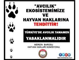 “TÜRKİYE'DE AVCILIK TAMAMEN YASAKLANMALIDIR”