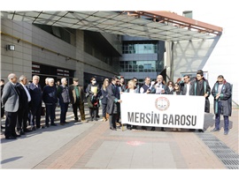 TEHLİKEDEKİ AVUKATLAR GÜNÜ NEDENİYLE BASIN AÇIKLAMASI YAPILDI