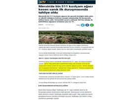 BASINDA BAROMUZ (Ağaç Kesen Sanığın Tahliyesine Başkanımızdan Tepki)