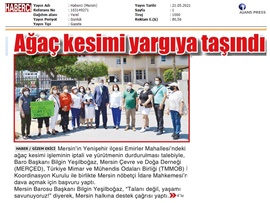 Emirler Mahallesi'ndeki orman katliamı yargıya taşındı