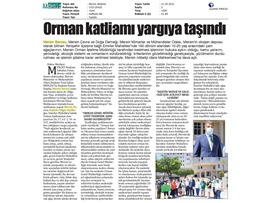 Emirler Mahallesi'ndeki orman katliamı yargıya taşındı