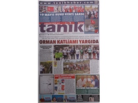 Emirler Mahallesi'ndeki orman katliamı yargıya taşındı