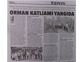 Emirler Mahallesi'ndeki orman katliamı yargıya taşındı