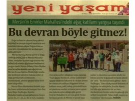 Emirler Mahallesi'ndeki orman katliamı yargıya taşındı