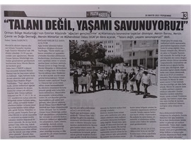 Emirler Mahallesi'ndeki orman katliamı yargıya taşındı