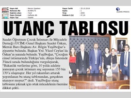 BASINDA BAROMUZ (Türkiye Cinsel İstismarda Dünya 3.'sü)