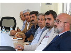 ERDEMLİ’DEKİ ARDIÇ AĞACI KATLİAMINA DUR DEMEK İÇİN BİR ARAYA GELDİK