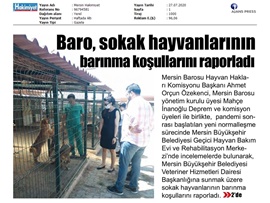 BASINDA BAROMUZ (Hayvan Hakları Merkezimiz, Sokak Hayvanlarının Yaşam Koşullarını Raporladı)