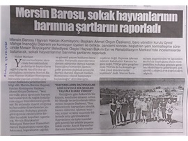BASINDA BAROMUZ (Hayvan Hakları Merkezimiz, Sokak Hayvanlarının Yaşam Koşullarını Raporladı)