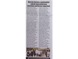 BASINDA BAROMUZ (Hayvan Hakları Merkezimiz, Sokak Hayvanlarının Yaşam Koşullarını Raporladı)