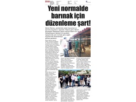 BASINDA BAROMUZ (Hayvan Hakları Merkezimiz, Sokak Hayvanlarının Yaşam Koşullarını Raporladı)