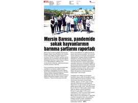 BASINDA BAROMUZ (Hayvan Hakları Merkezimiz, Sokak Hayvanlarının Yaşam Koşullarını Raporladı)