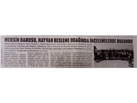 Hayvan besleme odağında iceleme yapıldı