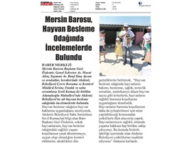 Hayvan besleme odağında iceleme yapıldı