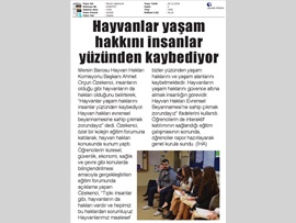 BASINDA BAROMUZ (Hayvanlar Yaşam Haklarını İnsanlar Yüzünden Kaybediyor)