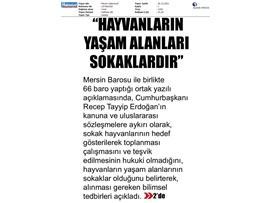 66 Baro: "Hayvanların yaşam alanları sokaklardır"