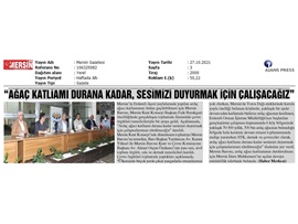 Ardıç ağacı katliamını durdurmak için bir araya geldiler