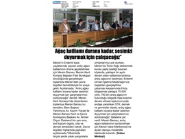 Ardıç ağacı katliamını durdurmak için bir araya geldiler