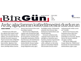 Ardıç ağacı katliamını durdurmak için bir araya geldiler