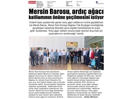 Ardıç ağacı katliamını durdurmak için bir araya geldiler