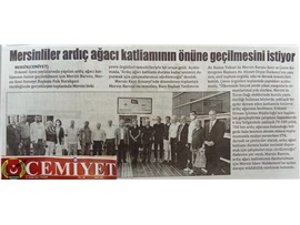 Ardıç ağacı katliamını durdurmak için bir araya geldiler