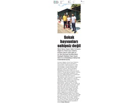 BASINDA BAROMUZ (Sokak Hayvanları Sahipsiz Değil)
