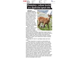 Yaban keçisi avlattırılması ihalesine Danıştay dur dedi.