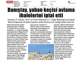 Yaban keçisi avlattırılması ihalesine Danıştay dur dedi.