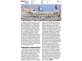 Yaban keçisi avlattırılması ihalesine Danıştay dur dedi.