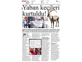 Yaban keçisi avlattırılması ihalesine Danıştay dur dedi.
