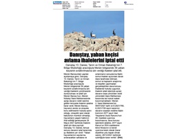Yaban keçisi avlattırılması ihalesine Danıştay dur dedi.