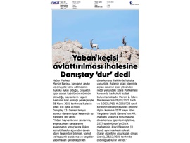 Yaban keçisi avlattırılması ihalesine Danıştay dur dedi.
