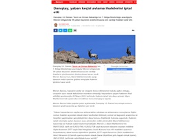Yaban keçisi avlattırılması ihalesine Danıştay dur dedi.