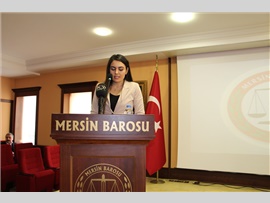 SEMİNER-İdari Yargıda ve Medeni Yargıda Yeni Kanun Yolu Sistemi ve Güncel Sorunlar