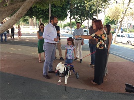 HAYVAN HAKLARI KOMİSYONUMUZ VE FOTOĞRAFÇILIK KULÜBÜMÜZ, HAYVAN HAKLARI KONUSUNDA VATANDAŞLARI BİLİNÇLENDİRİYOR