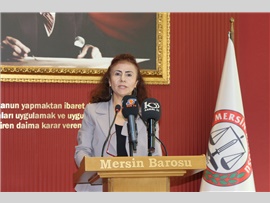 AV. ŞİRİN GÜNER: “KADINLAR ŞİDDETİ KADERİ OLARAK GÖRMEMELİ”