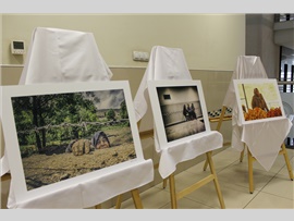 MERSİN BAROSU FOTOĞRAFÇILIK KULÜBÜ ‘KADINLARIMIZ’ KONULU FOTOĞRAF SERGİSİ AÇTI