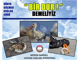Bugün: Dünya Göçmen Kuşlar Günü.