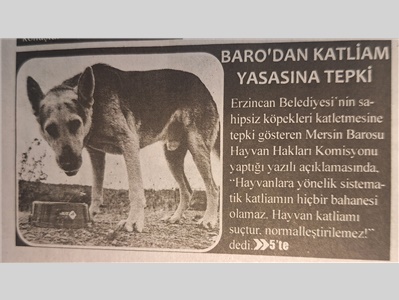 Hayvan Hakları Komisyonumuz: " Hayvan kaliamı suçtur , normalleştirilemez "