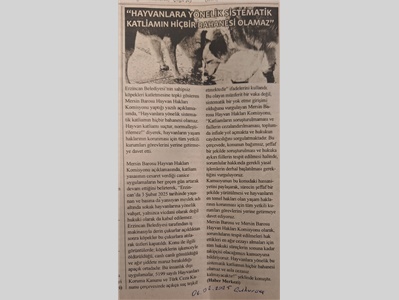 Hayvan Hakları Komisyonumuz: " Hayvan kaliamı suçtur , normalleştirilemez "